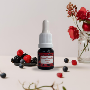 Essência Frutas Vermelhas 10ml