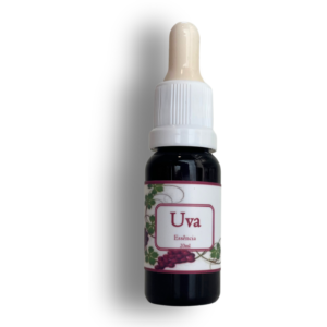 Essência Uva 20ml